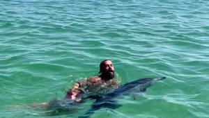 İstanbul'da yunus karaya vurdu İstanbul'da yunus karaya vurdu