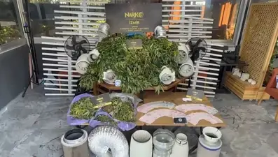 Villanın içinden uyuşturucu tarlası çıktı