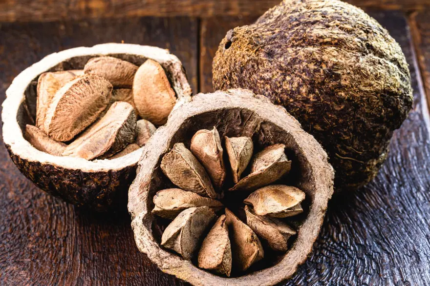 Doğadaki en yüksek selenyum kaynağı ama böbrekleri ve kalbi bitiriyor! Kanadalı diyetisyen uyardı: 7 tane yemek bile öldürebilir 