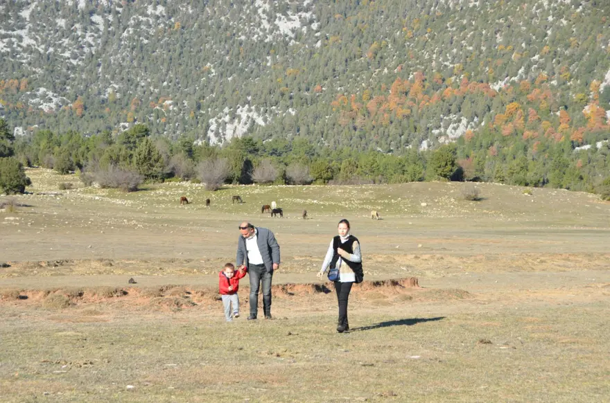 Soyları Osmanlı süvari birliğine dayanıyor! Torosların vahşi güzelliği 'Yılkı atları' 20
