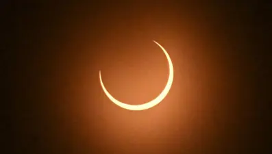 Tam Güneş tutulması yaklaşıyor: Hayvanlar nasıl tepki verecek?