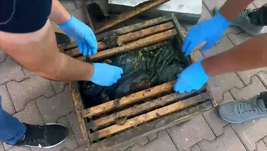 “Kraliçe arı taşıyoruz” dedi, kovanların içinden uyuşturucuçıktı 2