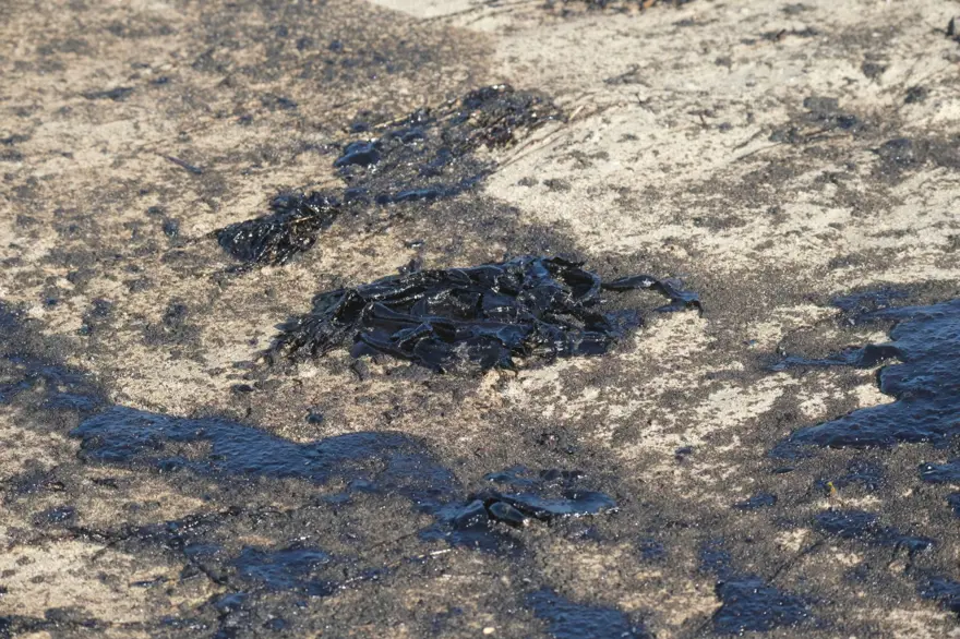 California’da çevre felaketi: Sahil petrolle kaplandı 8
