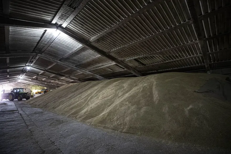 Tahıl gemilerinin limanlardan çıkışını bekleyen Ukraynalı çiftçilerden Türkiye'ye teşekkür 12