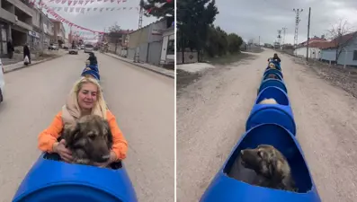 Ankara'da engelli köpekleri varillerden yaptığı trenle gezdirdi