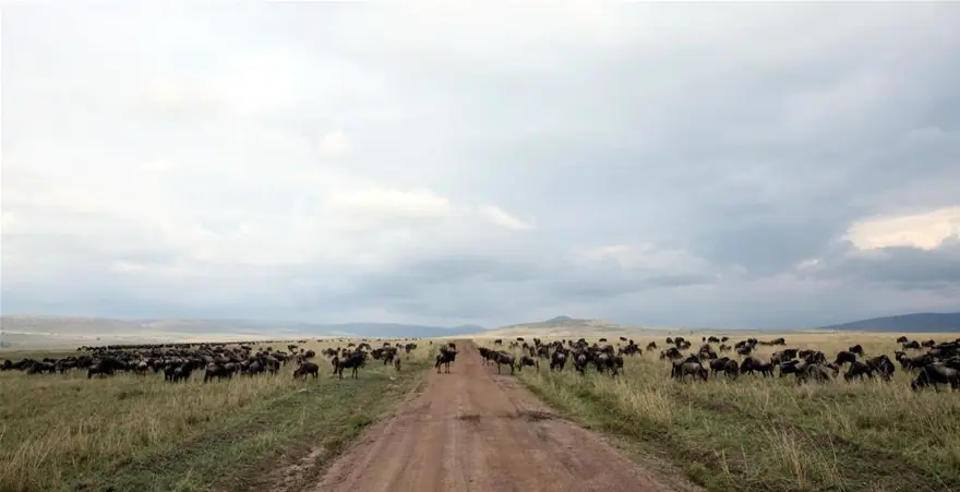 'Doğanın gözyaşı' 7