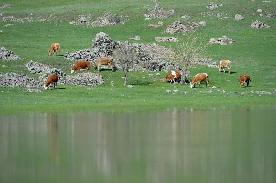 Sülüklü Göl'de ilkbahar renkleri 3