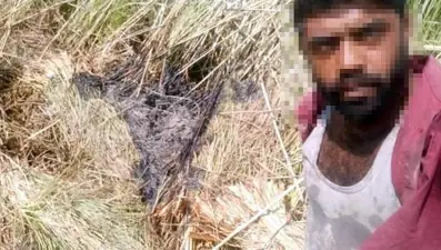 Muğla'daki yangınla ilgili 3 gözaltı: Yangın çıkarıp, selfie yapmış