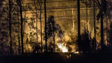 Avustralya'daki yangınlarda zarar gören ev sayısı 12'ye çıktı