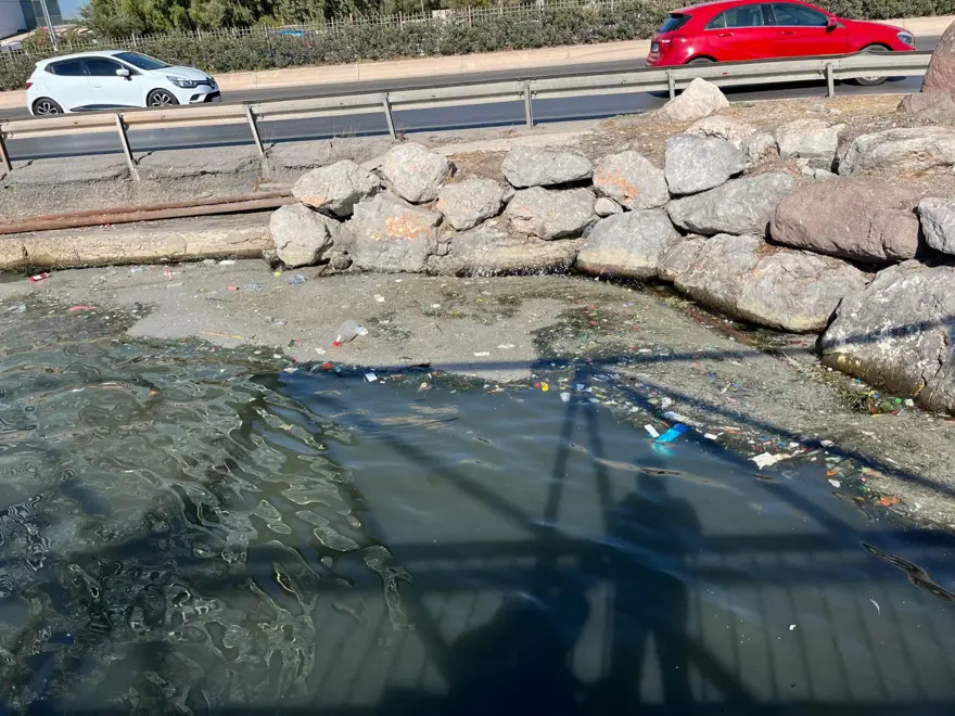 Kötü koku İzmir'i sardı, nedeni belli oldu 2