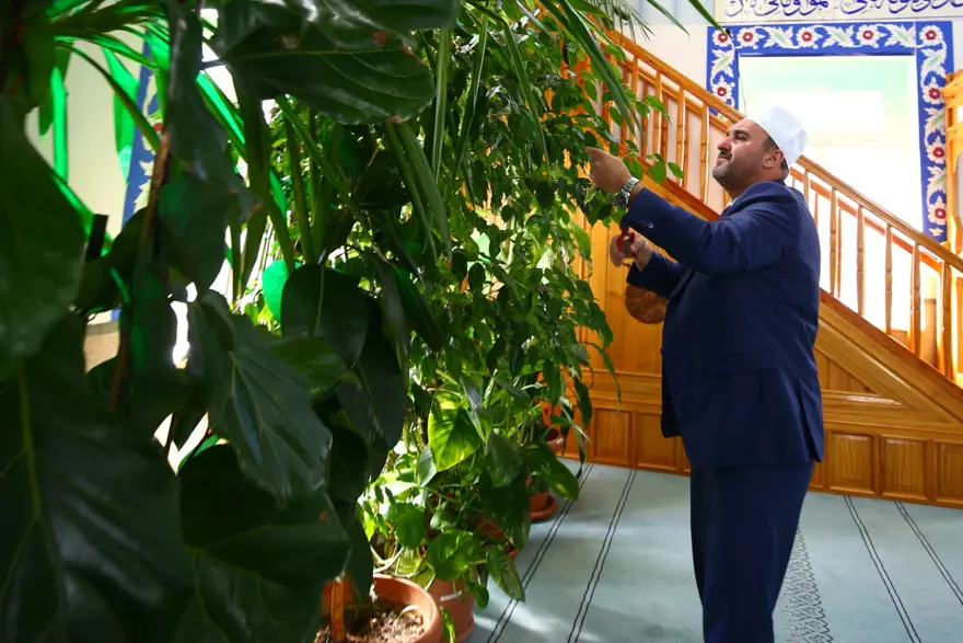 Botanik bahçesi değil cami 12