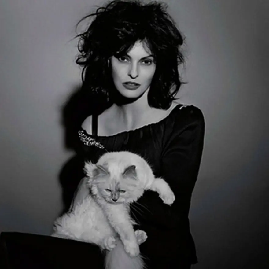 Poz verme sanatı 18