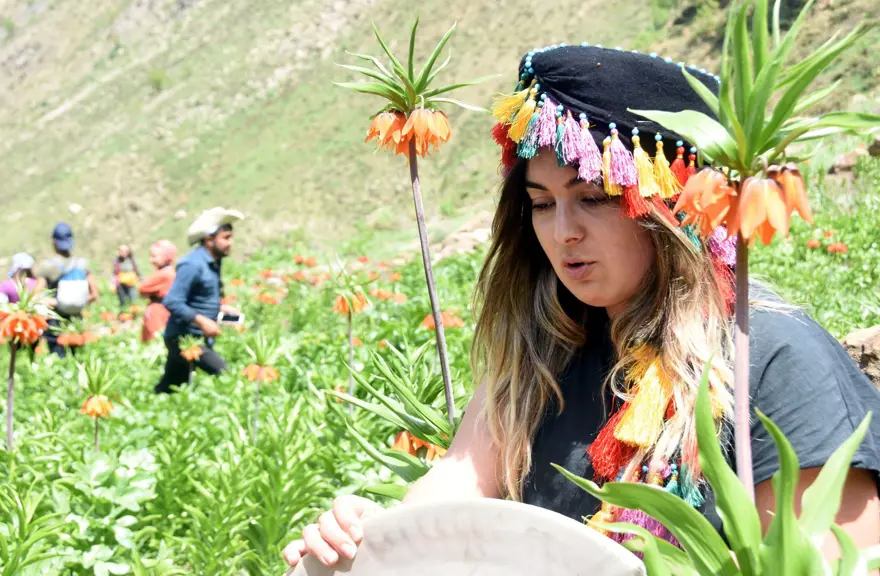 ters lale,sümbül dağı, hakkari ters lale, sütçüler tepesi, cilo doğa sporları kulübü 2