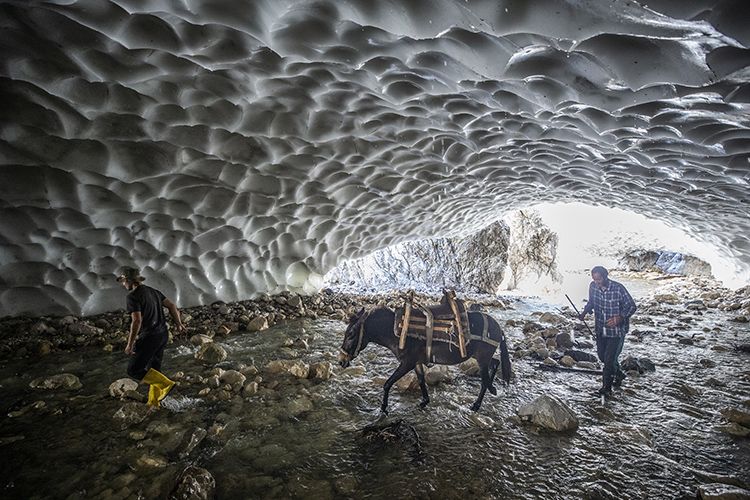 Yaylacı Hüseyin Firez kar tünellerinde gönüllü rehberlik yapıyor