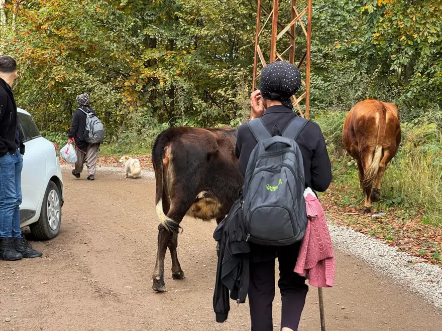 Asırlık gelenek sürdürülüyor: Renkli dönüş şöleni 1 Asırlık gelenek sürdürülüyor: Renkli dönüş şöleni 1