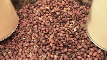 Federasyon Başkanı'ndan "bitkisel karışım" uyarısı: 5 kat daha yüksek fiyata satıyorlar