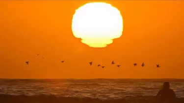 Marmara'da tehlike kapıda: İstanbul'da son 65 yılın en kötü verisi