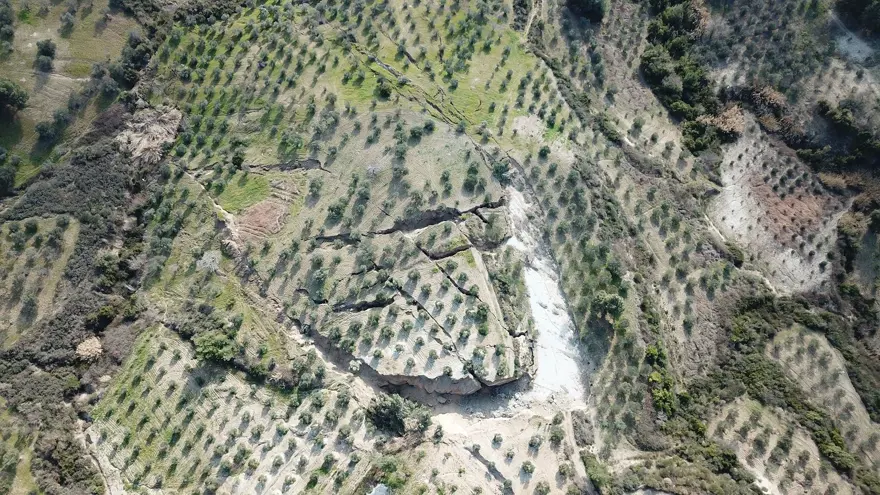 Depremin ardından Hatay'daki zeytinliklerde dev yarıklar 8