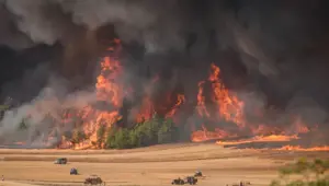 Sakarya'daki orman yangını Bilecik'e sıçradı