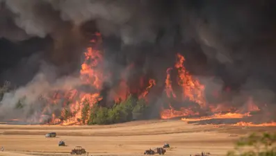 Sakarya'daki orman yangını Bilecik'e sıçradı