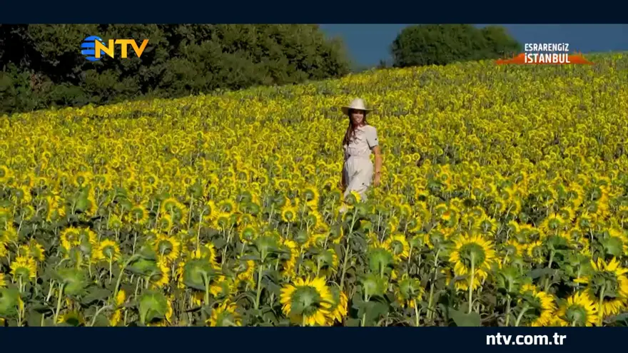 EsraGezginci İstanbul’un sırlarına kapı aralıyor: Yarımburgaz Mağarası ve Bathonea’dakibuluntular 6