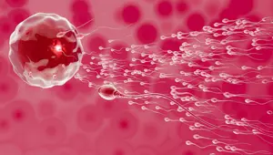 Araştırma: BioNTech - Pfizer aşısı spermlere zarar vermiyor