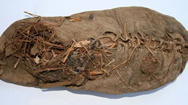 Dünyanın en eski ayakkabısı