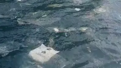 Kuru yük gemilerinden denize pislik