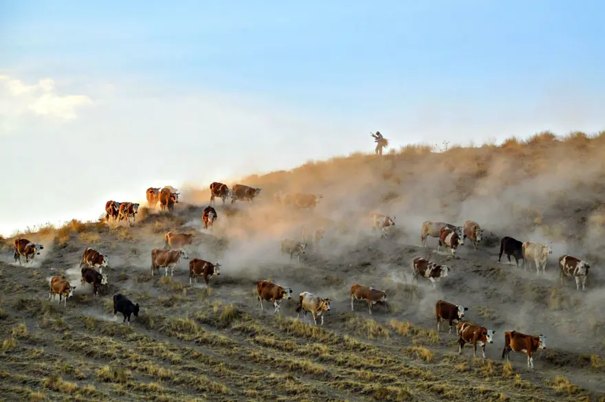 “Haydi! Yeşil Gelecekler” fotoğraf yarışmasının ödülleri açıklandı 6 “Haydi! Yeşil Gelecekler” fotoğraf yarışmasının ödülleri açıklandı 6