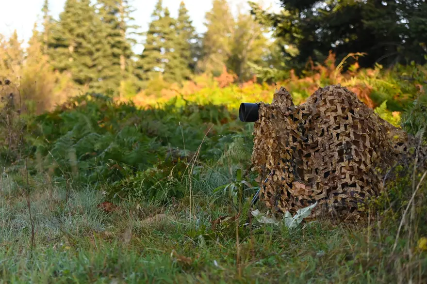 25 gün boyunca kamp kurup kızıl geyiklerin peşinde koştu 8 25 gün boyunca kamp kurup kızıl geyiklerin peşinde koştu 8