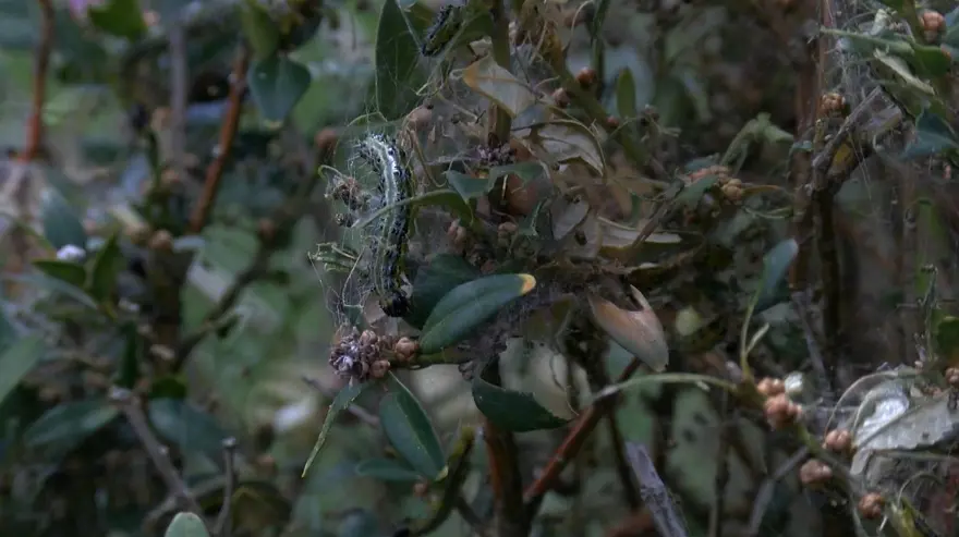 "PATLAMA YAŞANABİLİR" 5