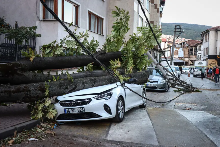 Bursa’da lodos etkili oldu (Elektrik direği ve ağaç araçlarınüzerine devrildi) 4