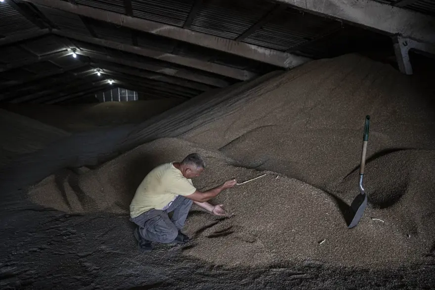 Tahıl gemilerinin limanlardan çıkışını bekleyen Ukraynalı çiftçilerden Türkiye'ye teşekkür 14