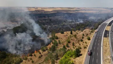 Kırklareli'nde ağaçlık alanda yangın