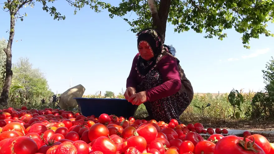 "SALÇALARIM 2-3 SENE BOZULMAZ" 6