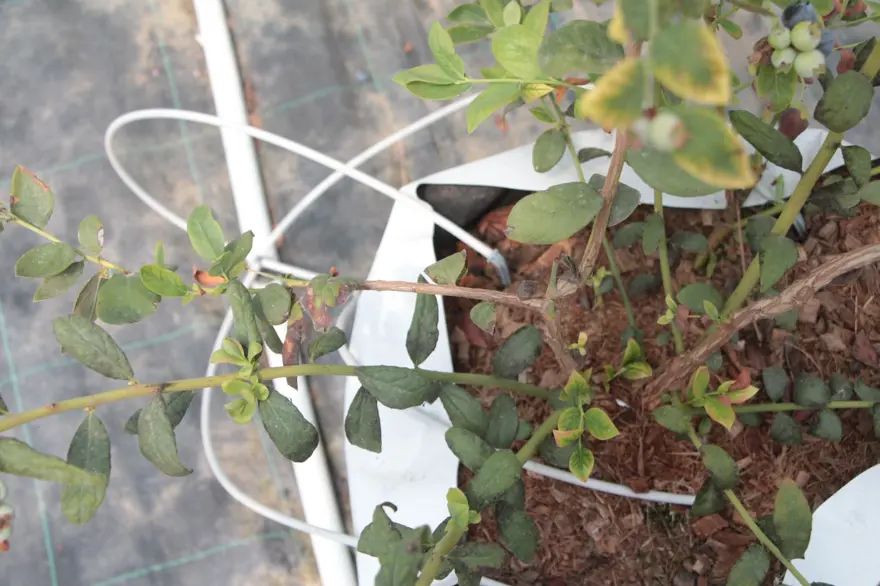 "TÜRKİYE DAHA ÇOK İTHAL EDİYOR" 3