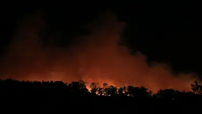 Mersin'de iki ilçede çıkan orman yangınlarına müdahale sürüyor