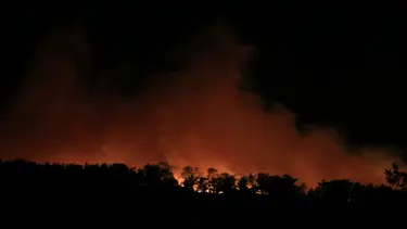 Mersin'de iki ilçede çıkan orman yangınlarına müdahale sürüyor