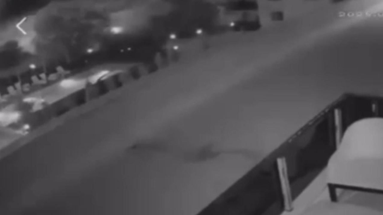 Havai fişek atıp yangın çıkaran 2 kişi, 100’er adet ağaç dikecek