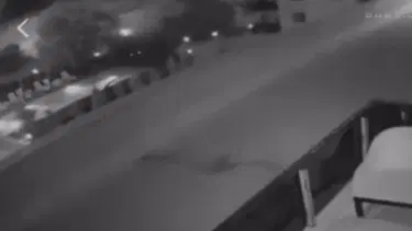Havai fişek atıp yangın çıkaran 2 kişi, 100’er adet ağaç dikecek