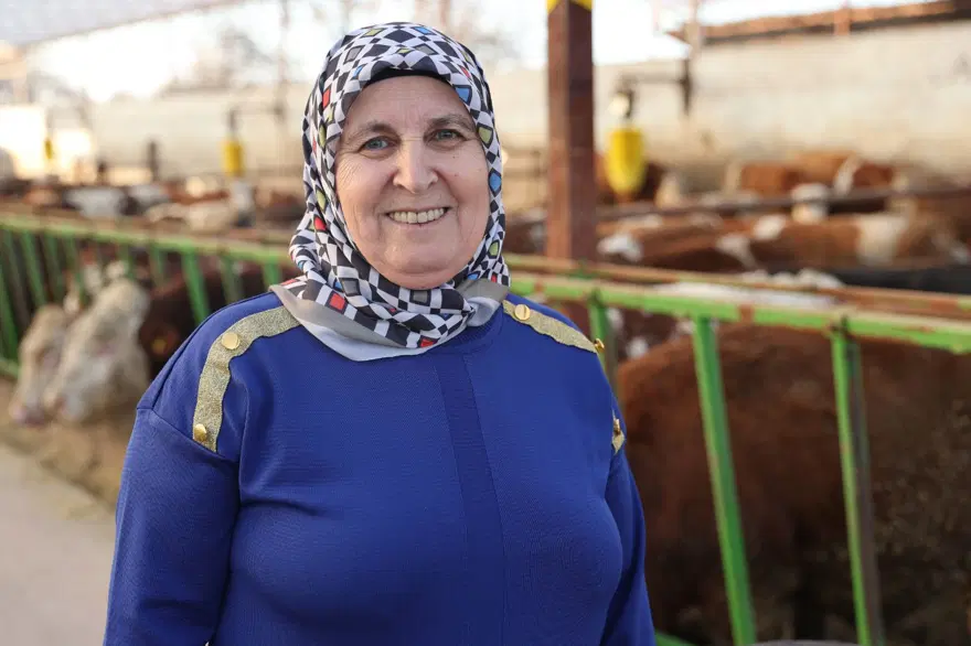 7 yıl önce 1 inekle hobi olarak başladı: 61 yaşındaki kadın  sayıyı 780 çıkardı, çiftlik kurdu 2