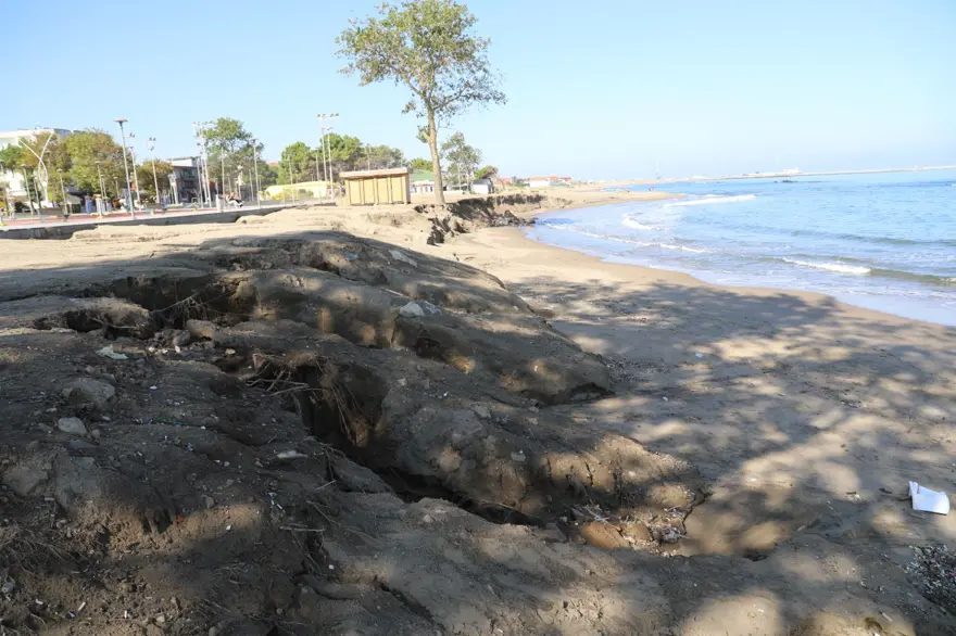Karasu sahillerinde korkutan görüntü 2 Karasu sahillerinde korkutan görüntü 2