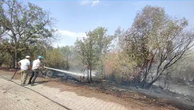 Yol kenarına atılan atıklar 6 dekarı kül etti