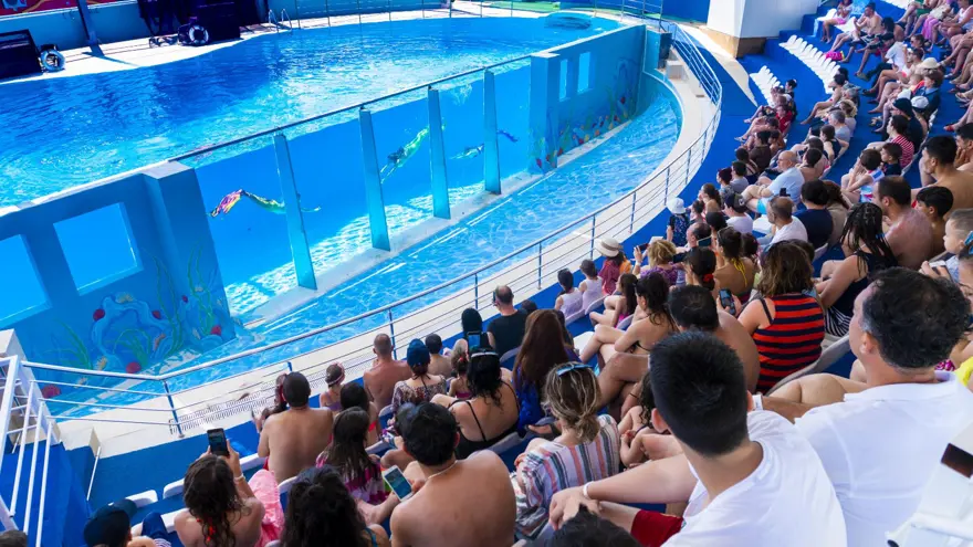 Yunus şovunun yerini deniz kızları aldı 7