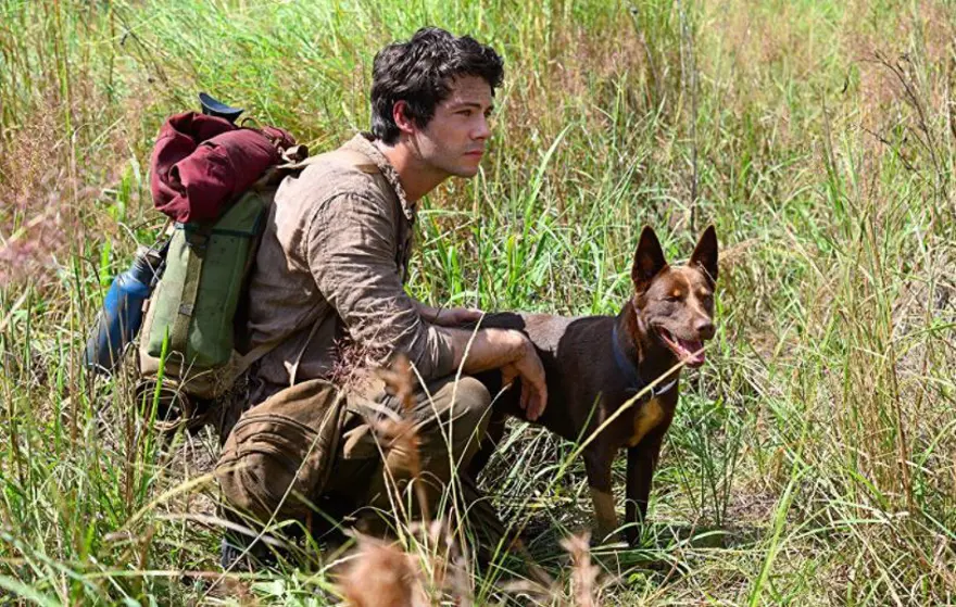 Haftanın öne çıkan filmleri ve dizileri 10