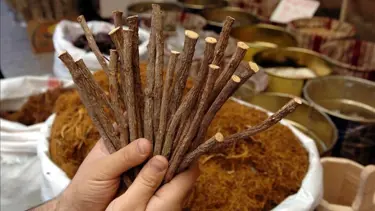 Balgam söktürücü özelliğiyle biliniyor: Meyan kökü nedir, faydaları neler?