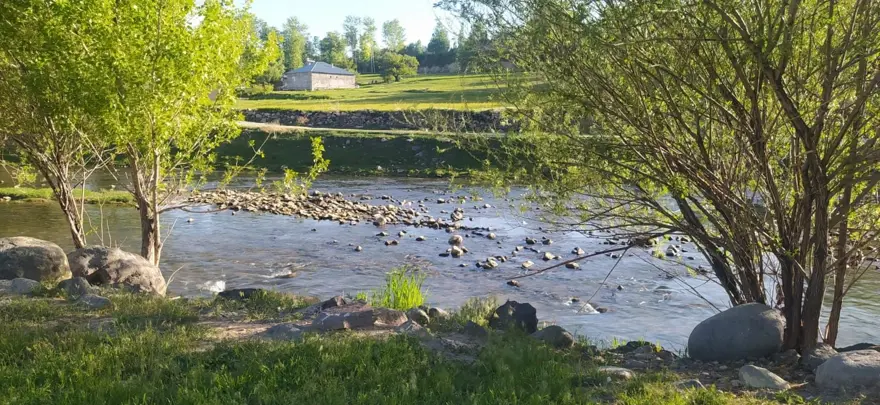 İnci kefalinin göçü turistlerin ilgi odağı oldu: Binlerce kilometreyi aşıp geldiler 5