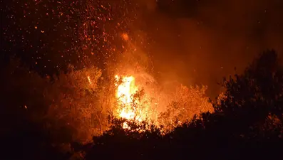 Manisa'da bahçeden ormana sıçrayan yangın kontrol altında