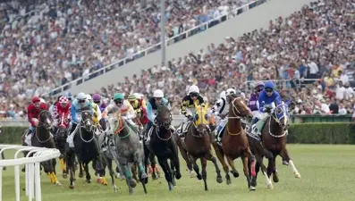 Gazi Koşusu'na katılacak safkanlar belli oldu (Gazi Koşusu bu pazar)