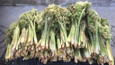 Tezgahta yerini aldı, ünü Amerika'ya kadar yayıldı: A, B1, B2, E, ve K vitamini deposu